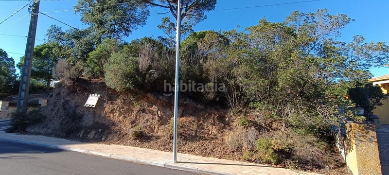 Foto d80a41b8-924a-4457-9084-dfd96ffc637b. Terreny residencial a Riells i Viabrea