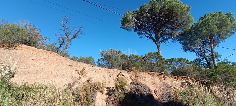 Foto e1886632-6a8c-4086-98a6-58e8ac15c47e. Terreny residencial a Riells i Viabrea