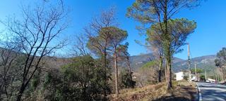 Terreno residencial en Gualba. Parcela para torre cuatro vientos