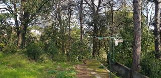 Terrain résidentiel à Riells i Viabrea. Terreno muy amplio y bien situado