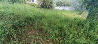 Terreno residencial en Gualba