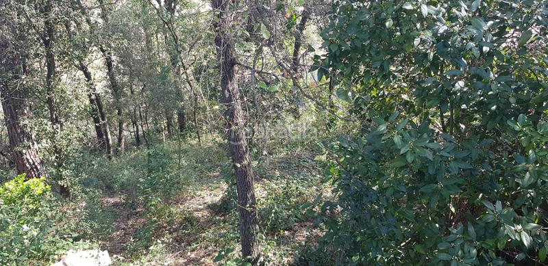 Foto 492468e3-8c7f-4bb1-9326-abf5387a75ba. Terrain résidentiel dans Riells i Viabrea