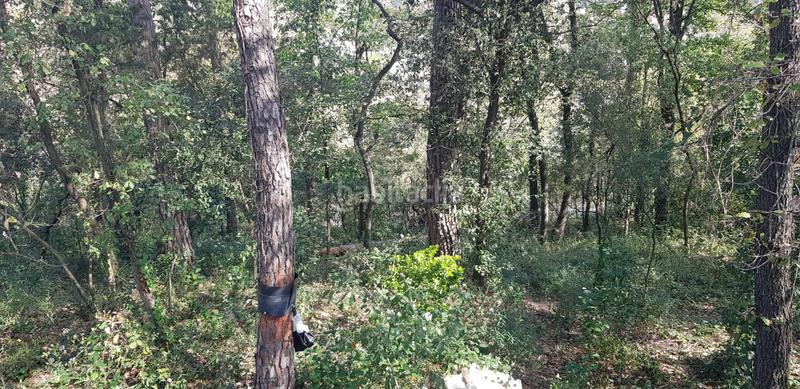 Foto bb18ff7f-8148-4322-9ebe-89f980bbb3aa. Terrain résidentiel dans Riells i Viabrea