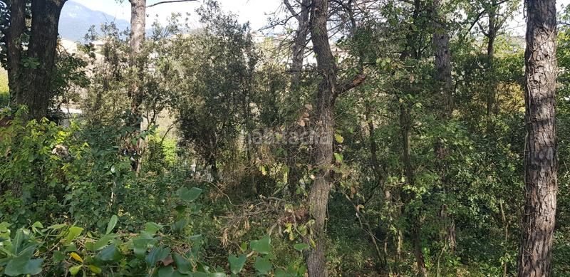 Foto e2b17705-197a-42fe-b29f-23fda245c47a. Terrain résidentiel dans Riells i Viabrea