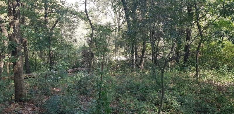 Foto ec6e39c2-abb5-413a-a3a9-c9326ac58aff. Terrain résidentiel dans Riells i Viabrea