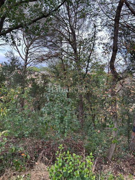 Foto fa67b8c2-a111-4464-86af-7f50fbeea4ee. Terrain résidentiel dans Riells i Viabrea