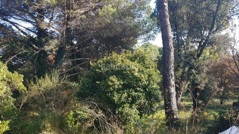 Foto e9b0569c-006c-4166-9e66-49054ea62708. Xalet amb calefacció aparcament a Gualba