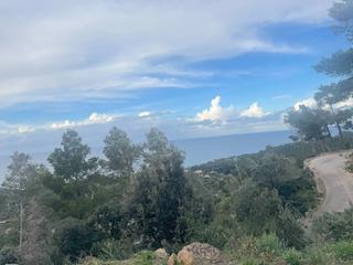 Wohngrundstück in Es port d`es canonge. Terreno urbano en venta en bayalbufar.