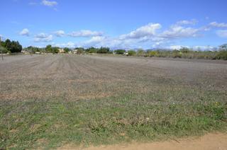 Terreny residencial a Algaida. Solar en venta en algaida.