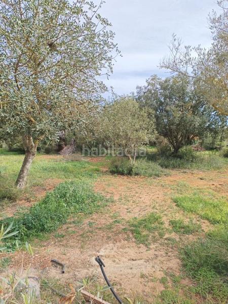 Foto c8fdb770-77f3-4afe-8150-c0dce63c6797. Chalet in Manacor centre Manacor