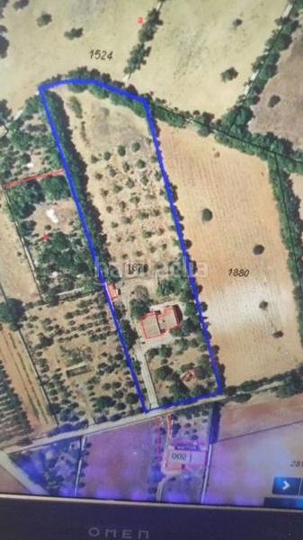 Foto f31657b5-8902-4d6b-b324-4a7be5bd2057. Chalet in Manacor centre Manacor