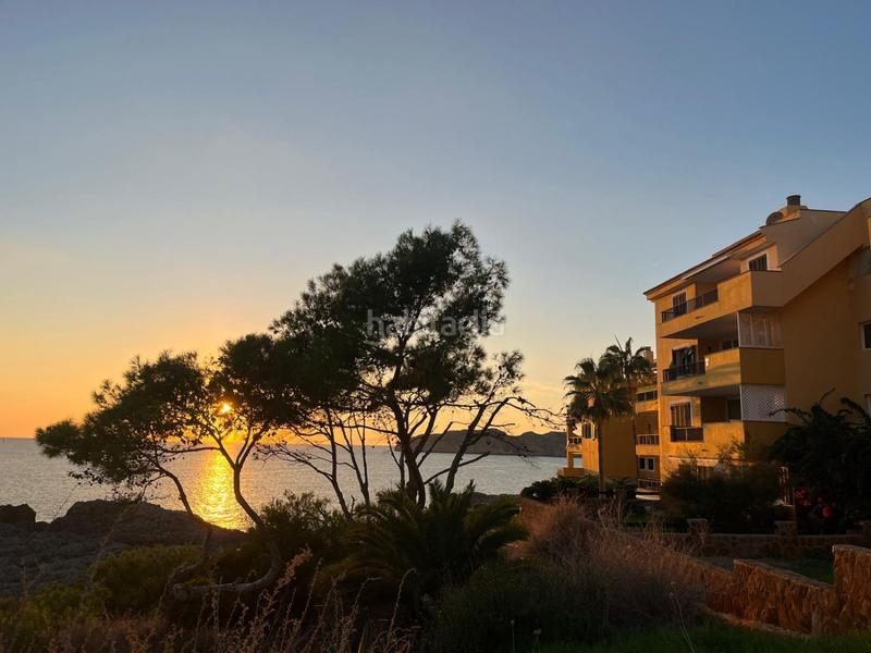 Foto 782a3c73-0843-4ab0-919f-309d9c110b8c. Alquiler ático atico en alquiler en Santa Ponça, 2 dormitorios. en Calvià