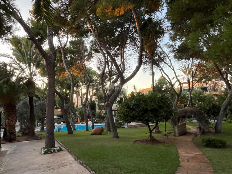 Foto eb40ce54-60fa-4fae-9ac9-0bb60c689978. Lloguer àtic amb calefacció aparcament piscina a Calvià