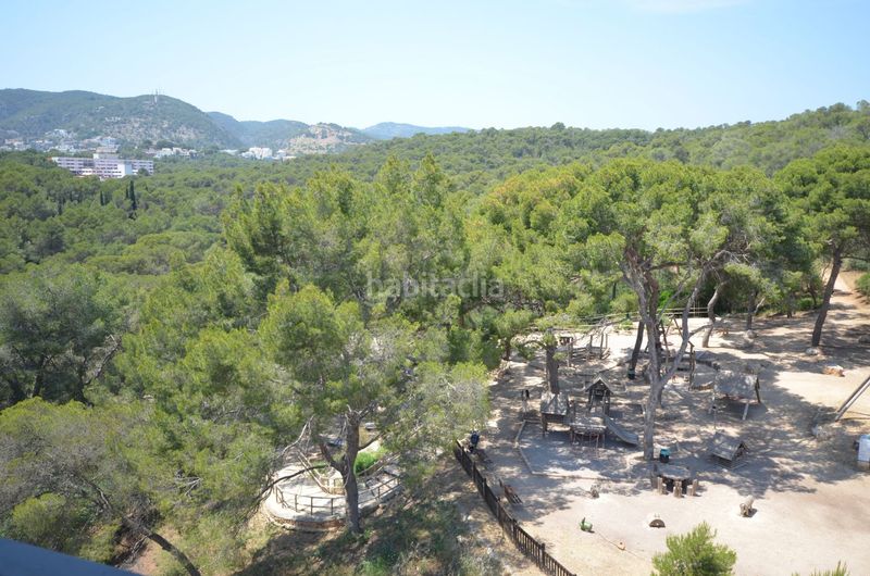 Foto 07f4de98-0373-49c8-a05c-3c00497befd6. Àtic amb calefacció aparcament piscina a El Terreno Palma de Mallorca