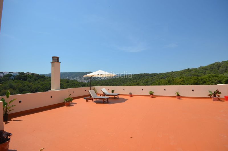 Foto 253ec1b0-5ced-4182-b840-8dff2333ba2f. Àtic amb calefacció aparcament piscina a El Terreno Palma de Mallorca