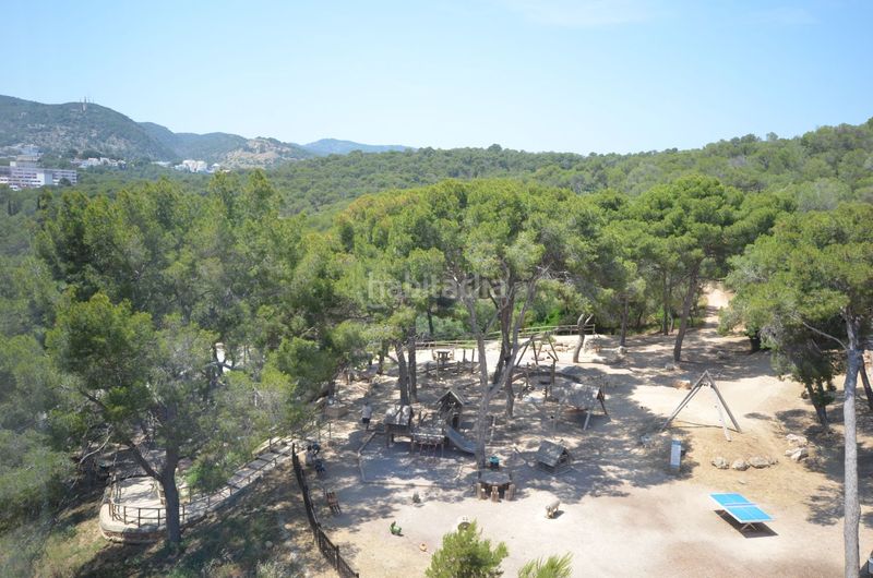 Foto 48c8abaa-c0ce-460b-b9b8-190925f3df8c. Àtic amb calefacció aparcament piscina a El Terreno Palma de Mallorca