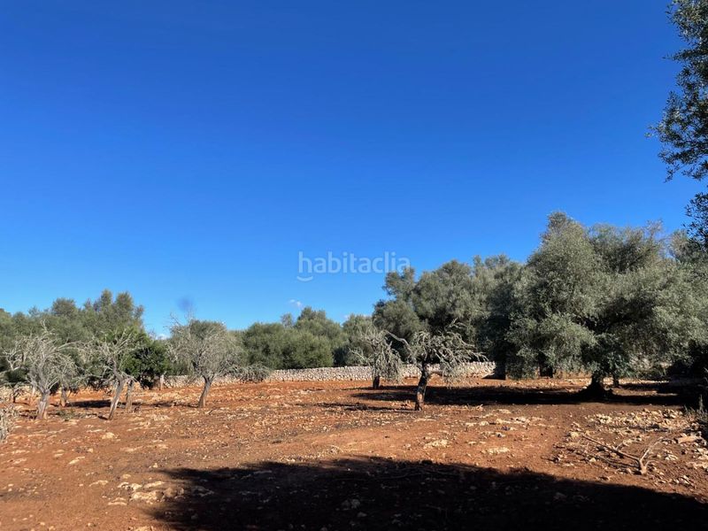 Foto 683f0e52-eb57-49a2-9417-d1d2e714bb2d. Masia a Sineu