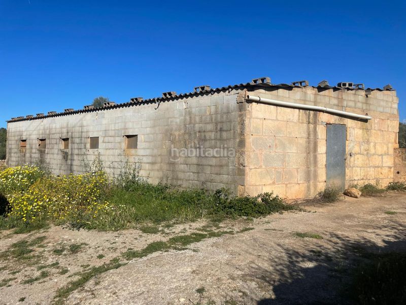 Foto 7054ef74-bf73-47ff-b8c5-f35c6dfdaa6c. Masia a Sineu