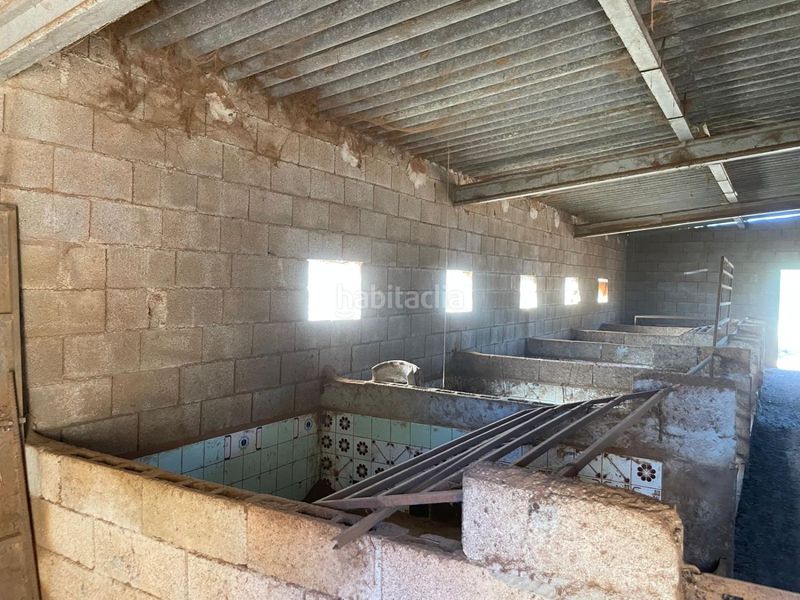 Foto 73ad5b42-1765-4f7f-918f-0a17b5d0f3b4. Masia a Sineu