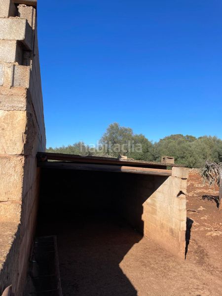 Foto c6485a21-064c-44f5-a1c1-3d9e539df3a1. Masia a Sineu