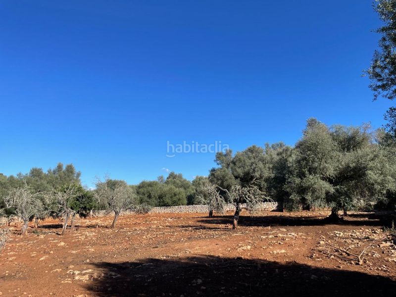 Foto ded0d948-14f9-487f-818a-7e1517703f03. Masia a Sineu
