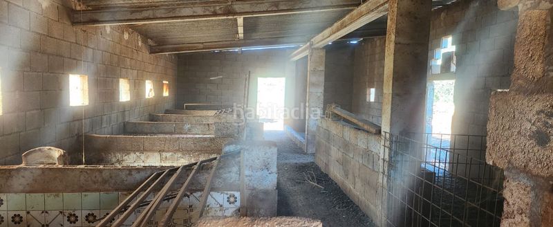 Foto f9866f23-caea-45aa-9e88-dc36be1fc549. Masia a Sineu
