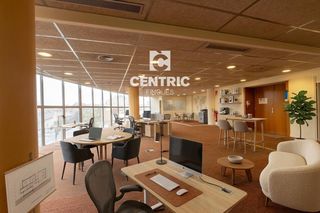 Location Bureau à San Pere. Oficina diáfana con gran ventanal en avinguda abat marcet  215 m