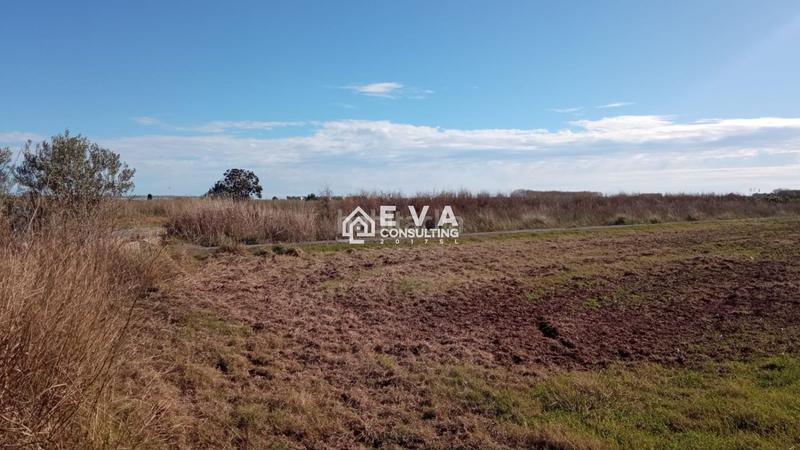 Foto 6b27d4b4-f9df-457b-8cb0-10219430c773. Masia a Chilches