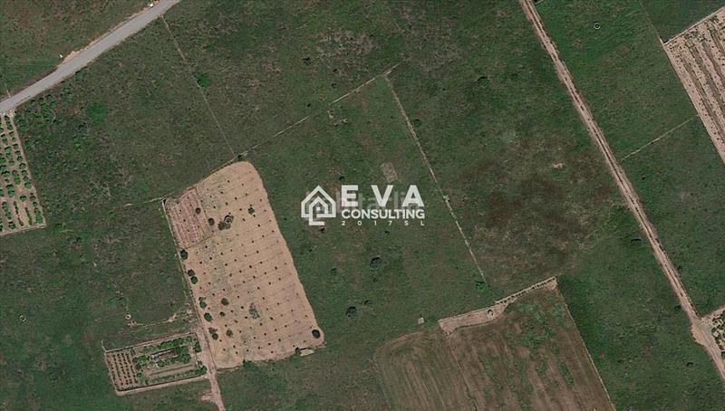 Foto 93637292-38eb-4332-b302-e2ba7e88890d. Masia a Chilches