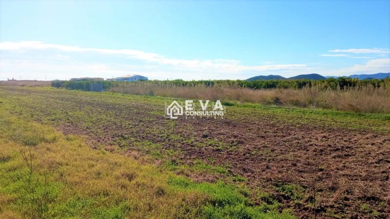 Foto bebac2b8-1087-4d22-a28f-2ab30a7d10c1. Masia a Chilches