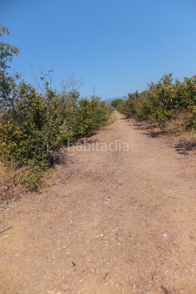 Foto 130a3e0f-547e-4929-8796-d8ab063f6407. Finca rústica a Riudoms