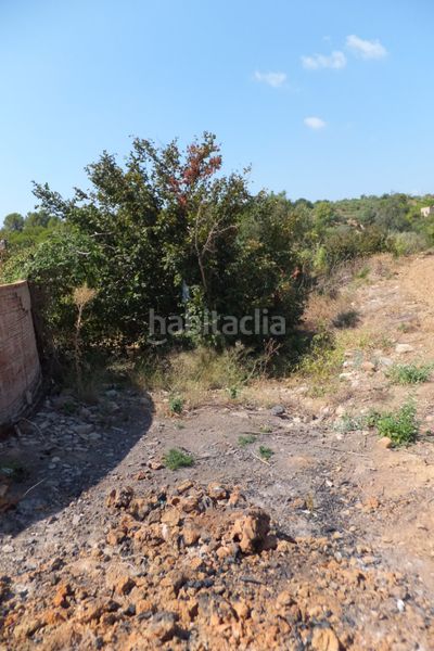 Foto 2829188d-da26-4aa8-9989-38c00a0f6486. Finca rústica a Riudoms