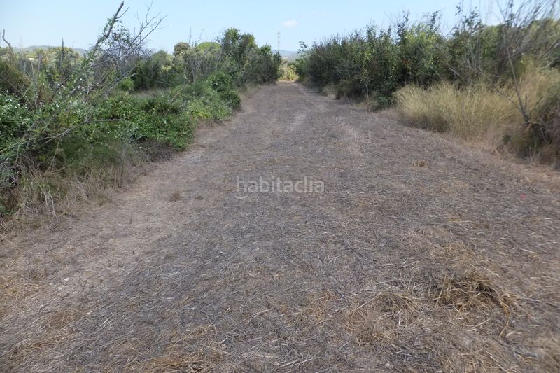 Foto 2b138dc7-a4c5-4e81-9cf8-7e7700c5526c. Finca rústica a Riudoms