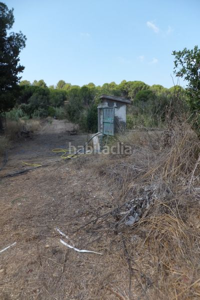 Foto 35cd6b98-05b9-4473-89bb-3ac74bda89da. Finca rústica a Riudoms