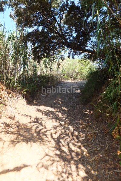 Foto 376e9577-5a2e-4fc2-b926-84cf183bc731. Finca rústica a Riudoms