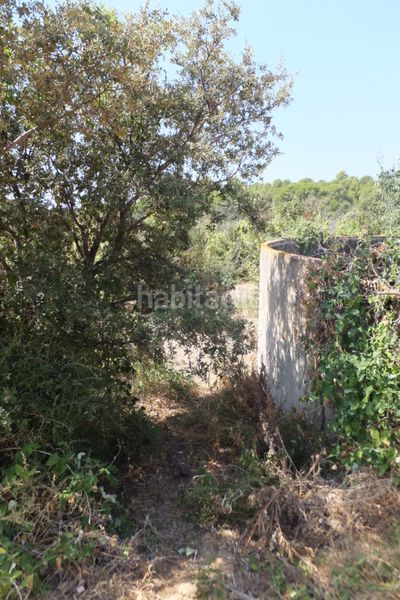 Foto 3b0ef755-06b5-487a-8858-52affa84bbab. Finca rústica a Riudoms