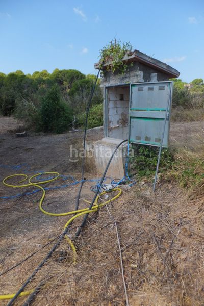 Foto 4b7b8df7-18e8-4f97-a337-7febeb1f9721. Finca rústica a Riudoms