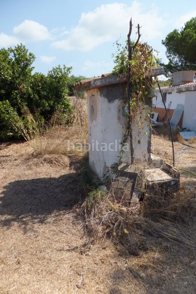 Foto 6b753fda-6444-4c8d-b7e5-f2dab9ba3578. Finca rústica a Riudoms