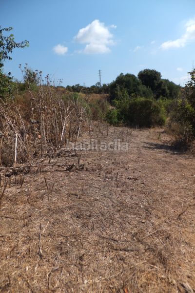 Foto 70f52000-e3ea-4f01-87b1-f8e3d79782fb. Finca rústica a Riudoms