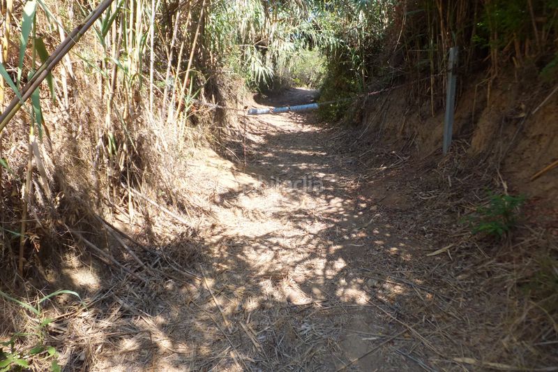 Foto 79670a8b-e1e6-4128-87da-492cb3bbb29a. Finca rústica a Riudoms