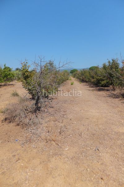 Foto 79e94929-3602-4001-ba40-0dbcaf8b2660. Finca rústica a Riudoms