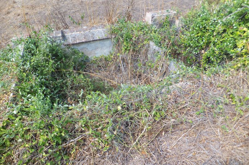 Foto 99dbab2e-f65f-444a-be79-24e305785617. Finca rústica a Riudoms