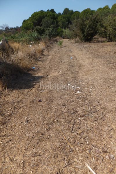 Foto 9b7ab34a-17a7-4c4c-9b05-6311a22e06e7. Finca rústica a Riudoms