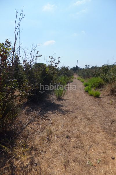 Foto a0a2b475-1ae0-47f5-a1d6-e5011d9c2fd5. Finca rústica a Riudoms