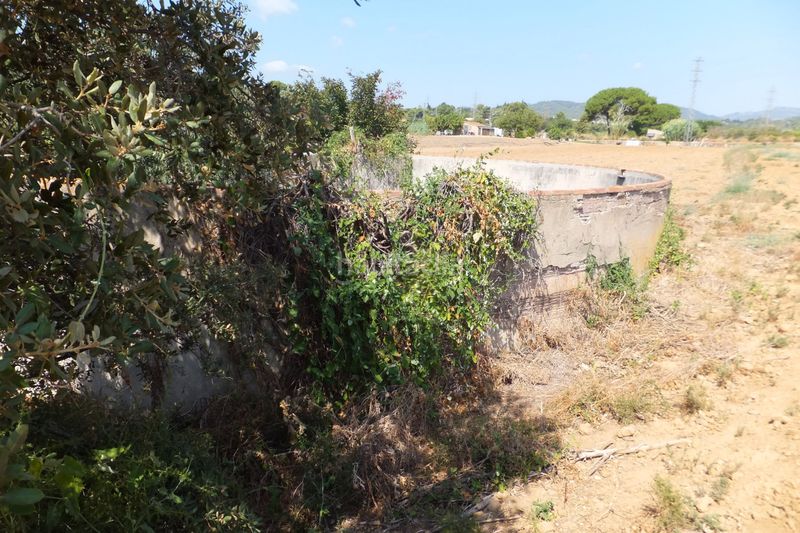 Foto a7e5add2-5846-4d55-8c80-944d38c862d5. Finca rústica a Riudoms