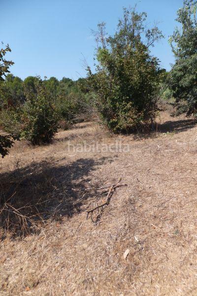 Foto aad7c52e-fcde-48b9-91aa-9a1b58132254. Finca rústica a Riudoms