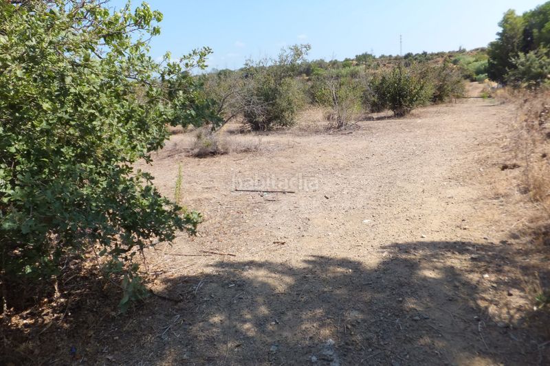 Foto adb1bed9-dc18-45b9-bcbf-d609aab736a9. Finca rústica a Riudoms