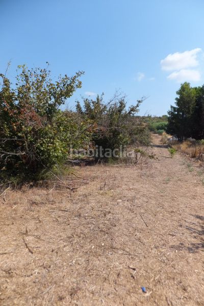 Foto b339df52-a061-41ce-96f6-f1843af5485e. Finca rústica a Riudoms