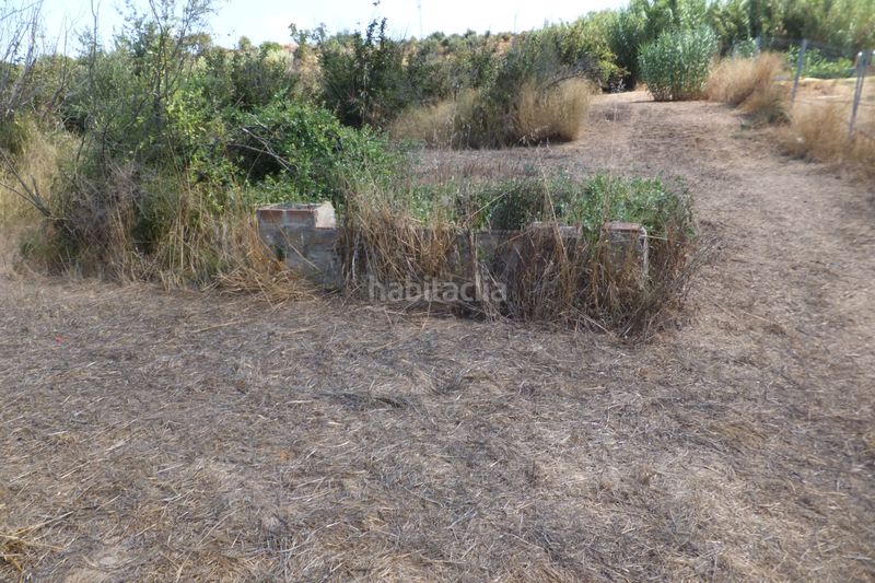Foto b39509eb-e175-416c-8b67-729eb1355303. Finca rústica a Riudoms