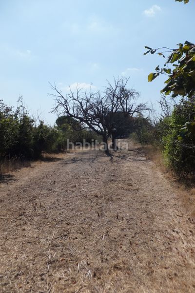 Foto ca2d6c23-cd73-4e3b-9f81-6c9d8b458f1a. Finca rústica a Riudoms